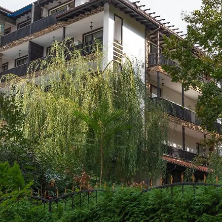 The Paradise 3* プリモルスコ